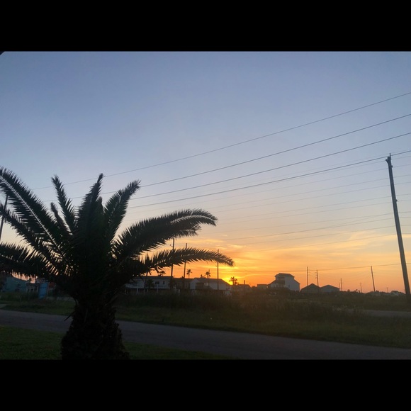 Meet your Posher, Annie - Picture 1 of 1